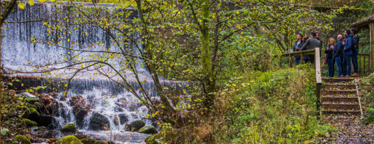 The Pitilie Burn, the Aberfeldy water source - part of the Dewar's immersion luxury whisky tour